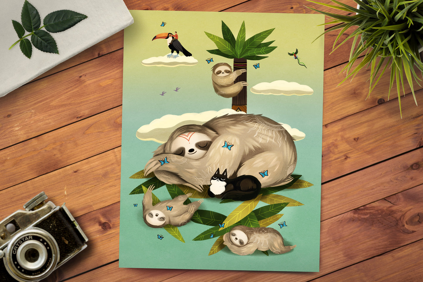 Slow Your Roll (Costa Rica) Print