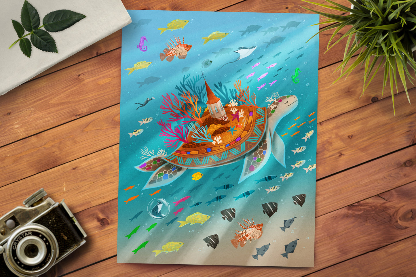 Flippers and Fins (Costa Rica) Print